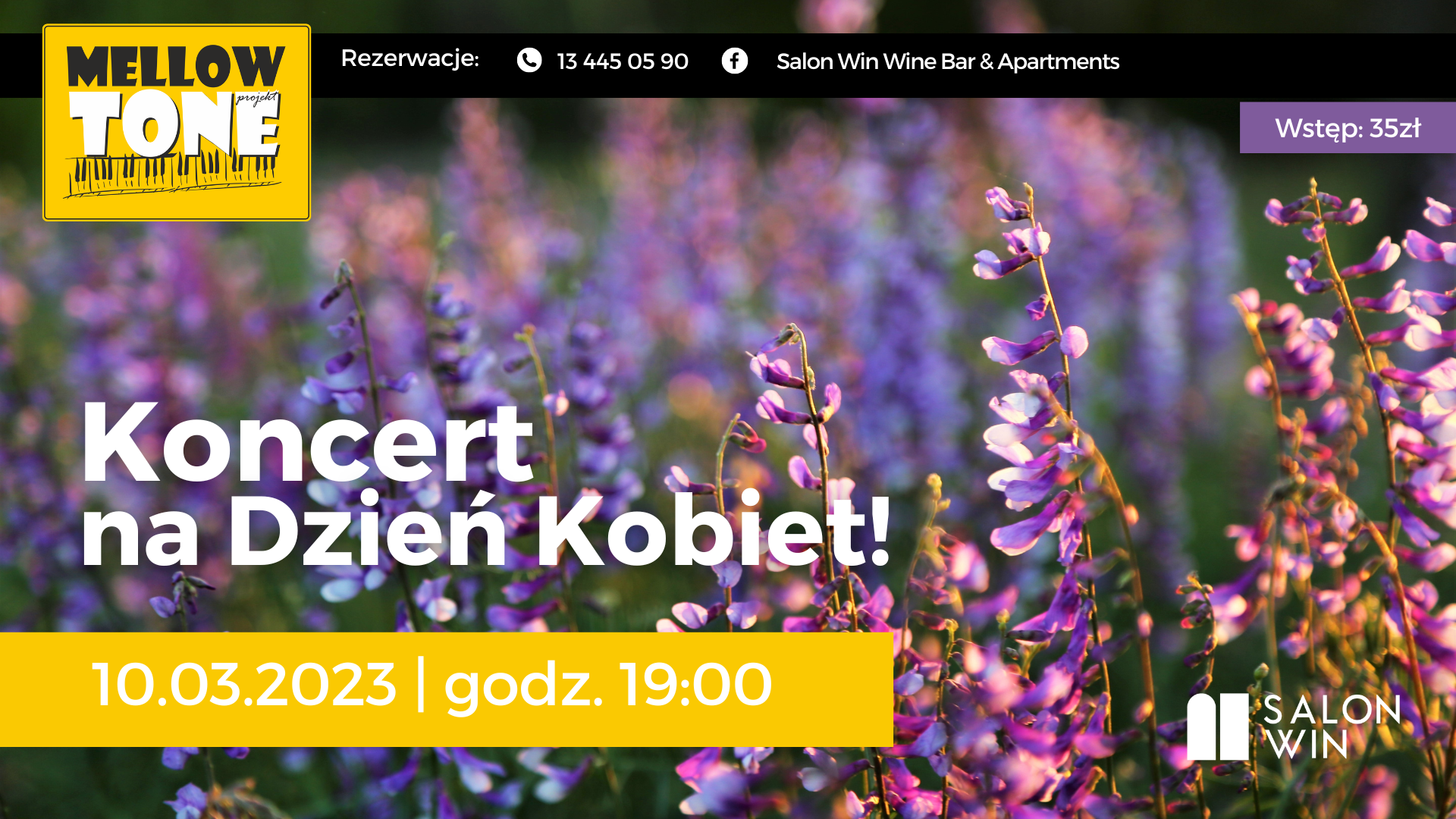 Koncert na Dzień Kobiet – MellowTone Projekt
